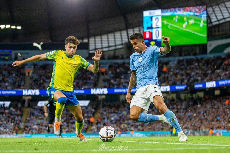 友们势必继 友们势必继